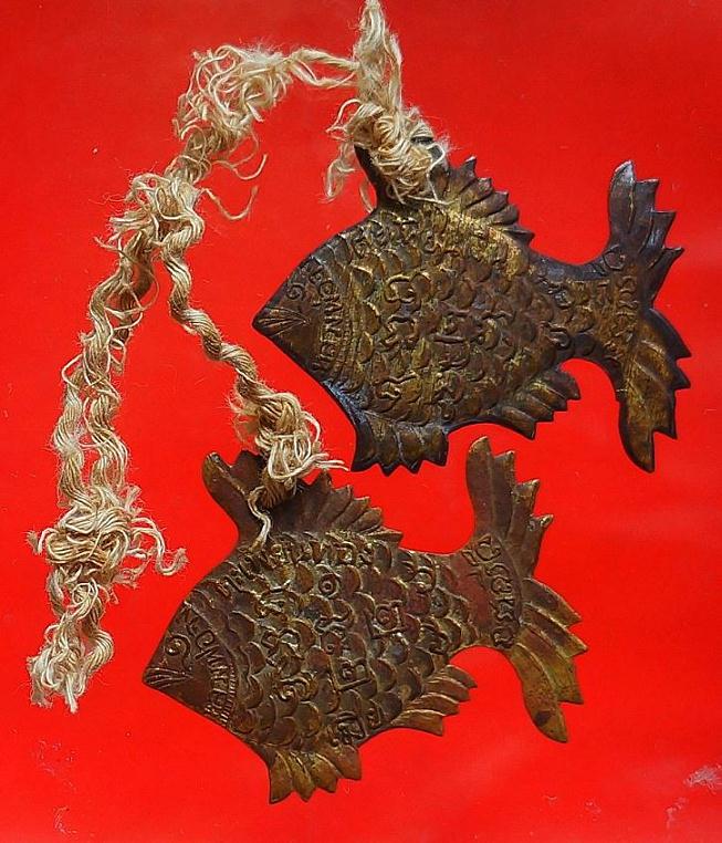 ปลาตะเพียนหลวงพ่อจงวัดหน้าต่างนอก