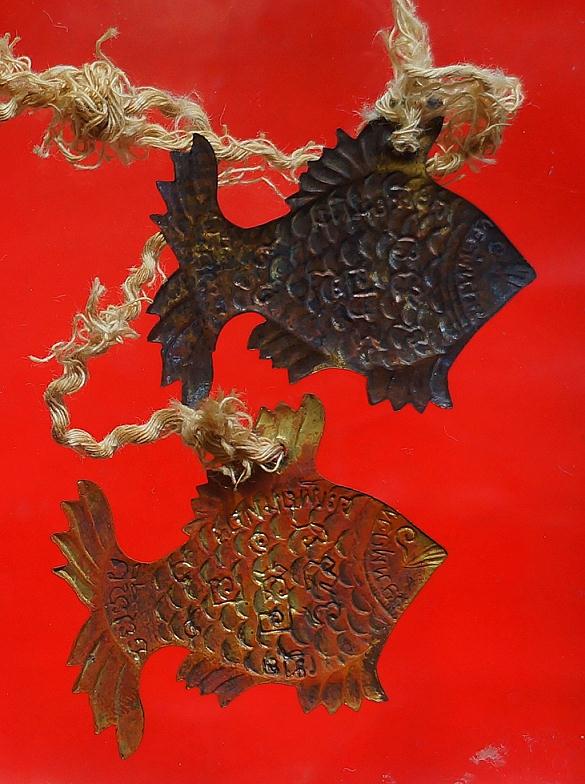 ปลาตะเพียนหลวงพ่อจงวัดหน้าต่างนอก