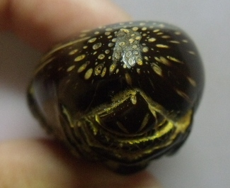 **วัดใจ**ราหูอมจันทร์แกะจากคตมะพร้าวตายพราย (คดซ้อนคด) มีจาร**สวยๆ เชิญชมครับ