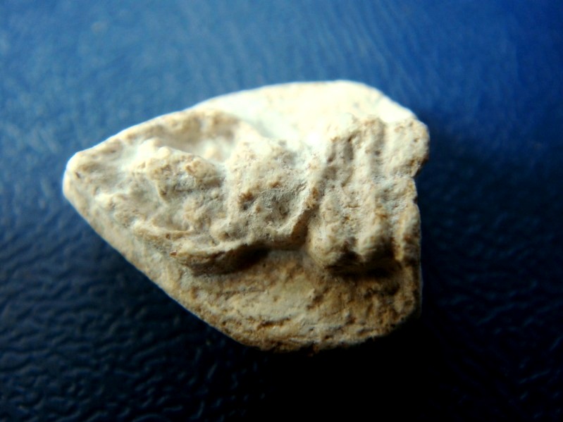 พระปรกเจ้าคุณนร เนื้อผง กรุองค์พระปฐมเจดีย์ครับผม