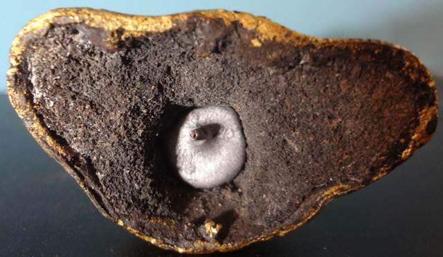  พระนาคปรก รัตนโกสินทร์ ปิดทองเดิมๆสวยเดิมขนาดสูง~ 4.5 นิ้ว กว้าง 1.2 นิ้ว