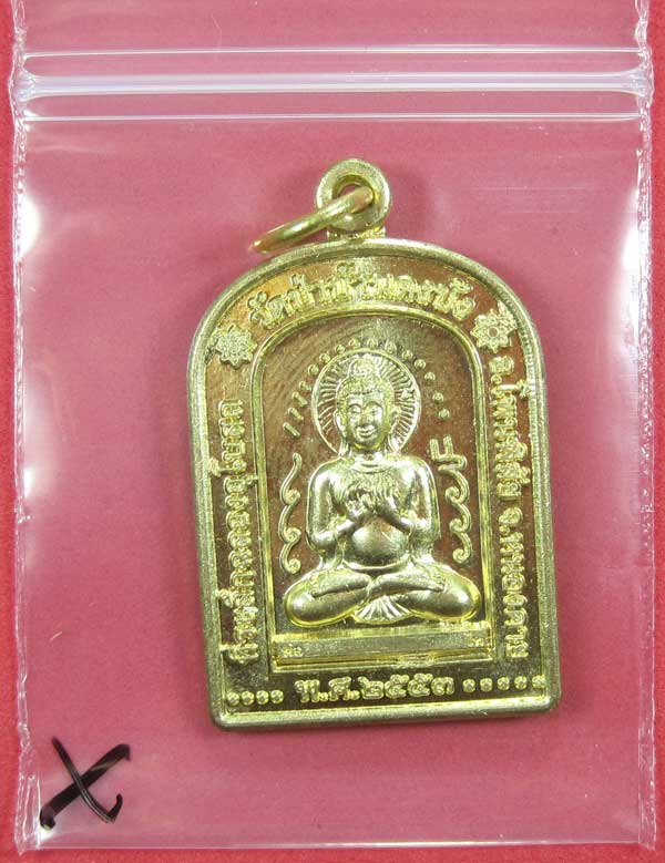วัดใจเหรียญ เนื้อทอง หลวงตามหาบัว ญาณสัมปันโน วัดป่าบ้านตาด จ.อุดรธานี