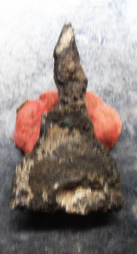 พระท่ากระดานเนื้อชินตระกั่ว กรุวัดเกาะ ครับ