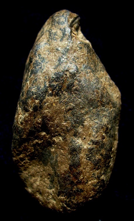 นางกำแพงกลีบบัว กุหนองลังกา สวย เดิมๆ น่าสะสม