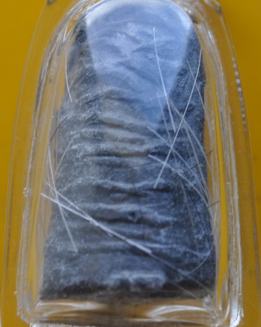 ชินยอดพระเกศ หลวงปู่ชื้น วัดญาณเสน