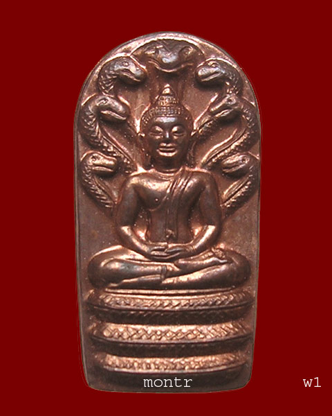 พระปรกใบมะขาม รุ่น 2 หลวงพ่ออุ้น วัดตาลกง นวโลหะ