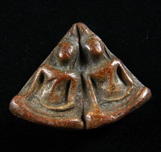 พระพิมพ์นางพญา เนื้อสวยไม่ทราบที่ครับ