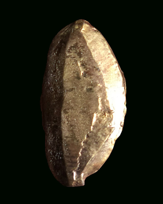 พระชัยวัฒน์ หลวงพ่อโสธร ปี2505 เนื้อทองเหลืองกะหลั่ยทอง (มีบัตรรับรอง)