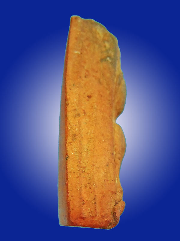 นางพญาหลวงปู่โต๊ะพิมพ์อกนูนปี 2472 สภาพสวย องค์ที่ 1 