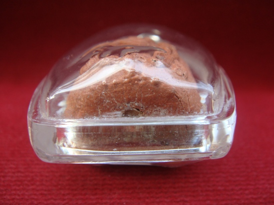 ปิดตาชมพูนุช หลวงปู่หมุน พร้อมเลี่ยม