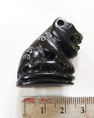 เสือ เขาควายแกะ หลวงพ่อสิน วัดละหารใหญ่