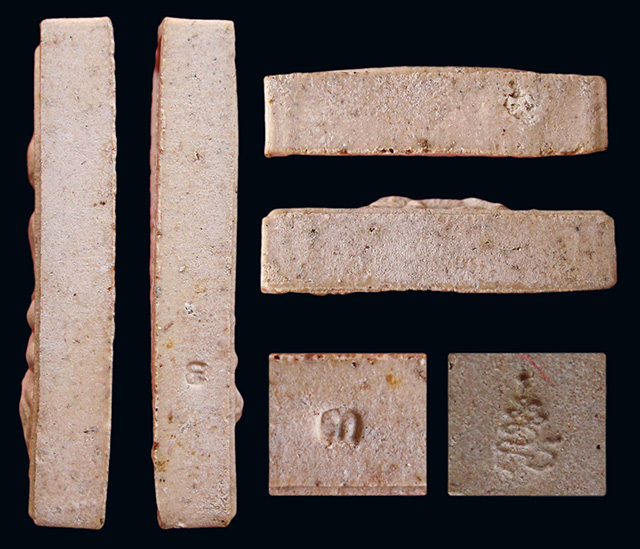 พระสมเด็จขี่เสือ ผงพรายกุมารว่านมหาเสน่ห์ หลังตะกรุดเงิน หลวงพ่อสาคร มนุญโญ วัดหนองกรับ ปี ๒๕๕๓