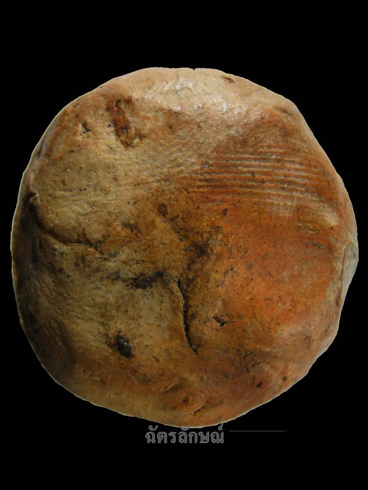 เม็ดกระดุมศรีวิชัย