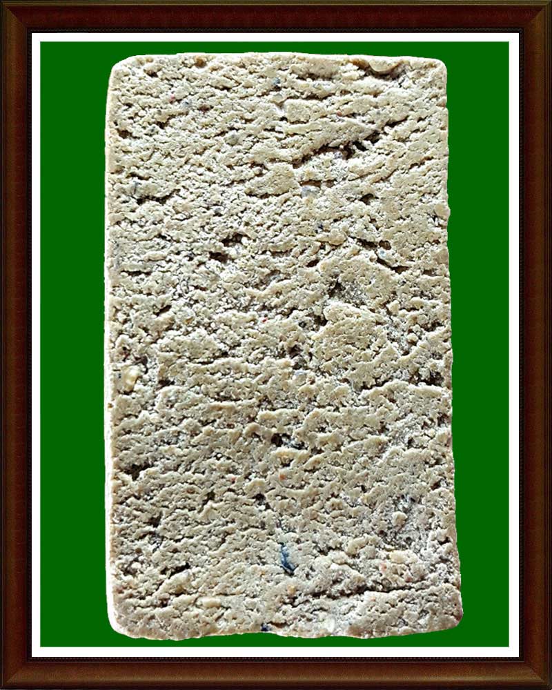 สมเด็จกำแพงแก้ว หลวงพ่อ จง ปลุกเสก