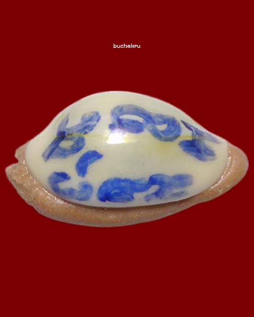 เบี้ยแก้เศรษฐีเงินล้าน (เบี้ยภควจั่น) หลวงปู่หงษ์ พรหมปัญโญ สุสานทุ่งมน จังหวัดสุรินทร์