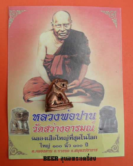 เสือหลวงพ่อปาน วัดบางเหี้ย (วัดสว่างอารมณ์ จ.สมุทรปราการ ) ฉลองเสือใหญ่ที่สุดในโลก