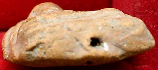 *พระกรุวัดตะไกร หน้ามงคล พระนครศรีอยุธยา*