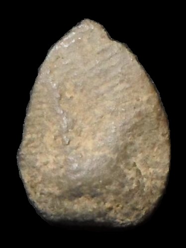 พระพิจิตร บ้านกล้วย เนื้อดิน