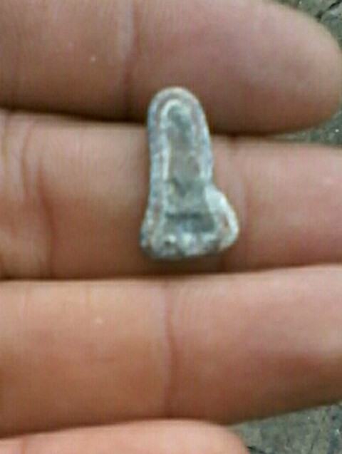 พระท่ากระดานกรุวัดศาลเจ้า .  (เคาะแรกแดง)