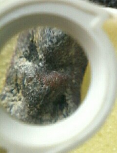 พระท่ากระดานกรุวัดศาลเจ้า .  (เคาะแรกแดง)