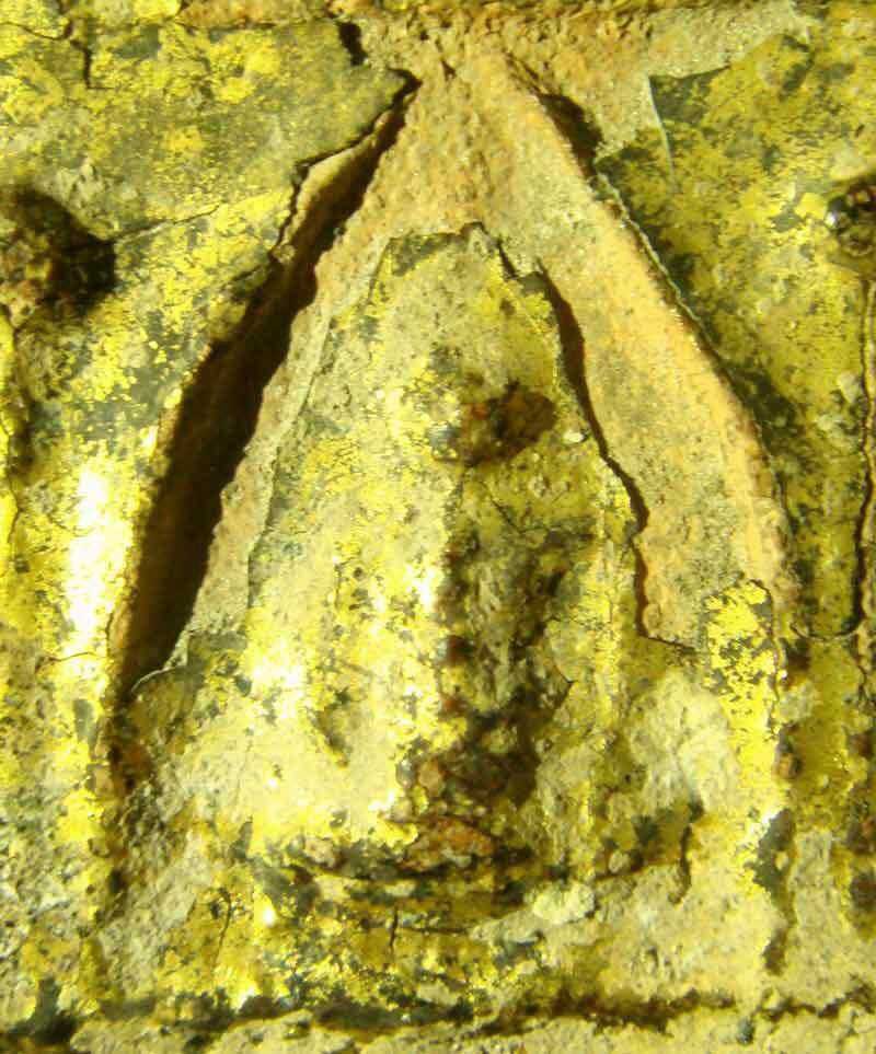 แผงสิบชาติ วัดกระช้าย ลงรักปิดทอง