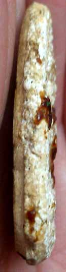 *พิมพ์พุทธชินราช เข่าตุ่ม ผงพุทธคุณ ปี๒๕๑๗..ลพ.เงิน วัดดอนยายหอม*