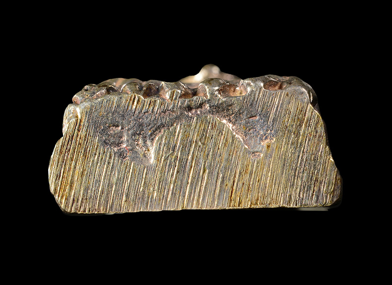 หลวงปู่ทวด หลังเตารีด พิมพ์กลาง เนื้อเงิน รุ่นสร้างโรงพยาบาล โคกโพธิ์ ปี 2539 กล่องเดิมครับ 