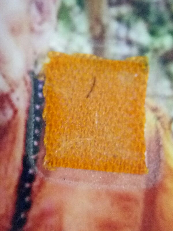 รูปภาพหลวงปู่หมุน ออกวัดซับลำใย ปี 2543