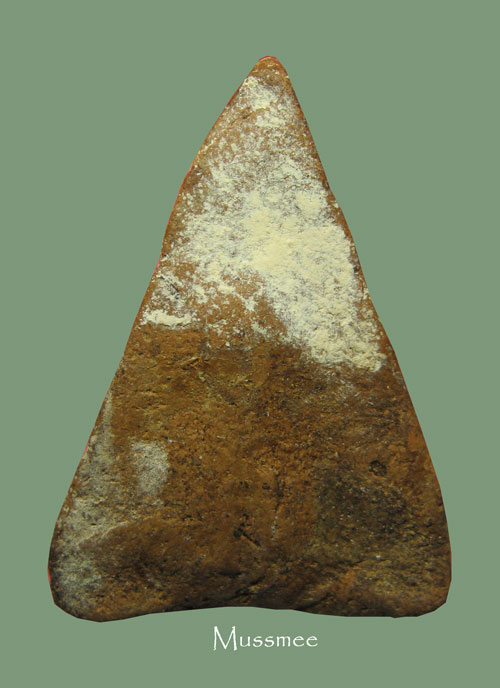 พระนางพญากรุวัดเวียง พิมพ์อาสนะยาว นิยม ประสบการณ์ด้านแคล้วคลาด คงกระพันชาตรี พระสวยครับ