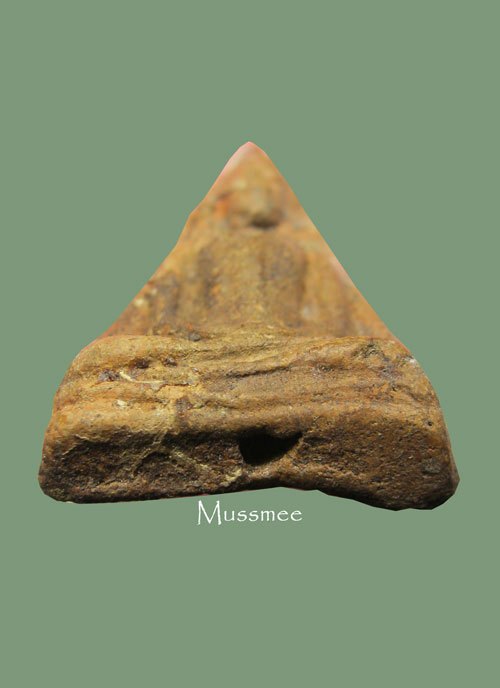 พระนางพญากรุวัดเวียง พิมพ์อาสนะยาว นิยม ประสบการณ์ด้านแคล้วคลาด คงกระพันชาตรี พระสวยครับ