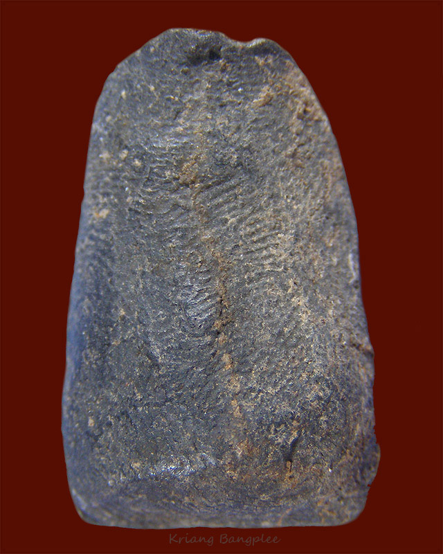 พระกรุวัดบางสะแกนอก พิมพ์กลีบบัว เนื้อดิน กทม. (6)