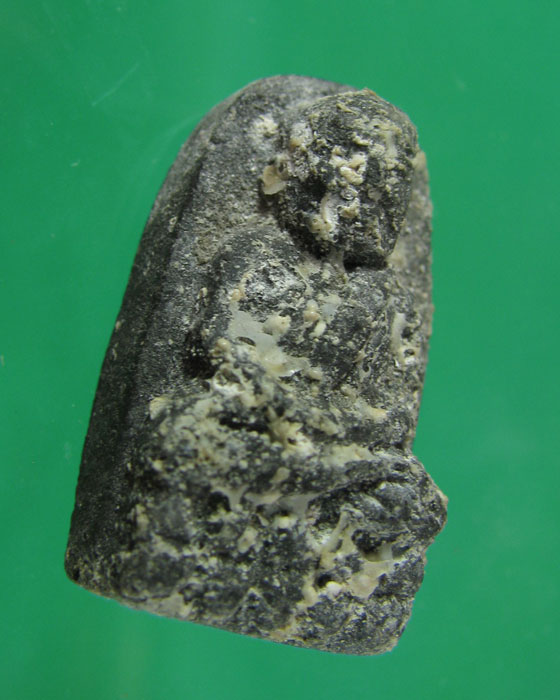 หลวงปู่ทวดวัดช้างให้ ปี 2524 เนื้อว่าน พิมพ์พระรอด เคาะเดียว