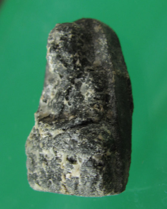 หลวงปู่ทวดวัดช้างให้ ปี 2524 เนื้อว่าน พิมพ์พระรอด เคาะเดียว