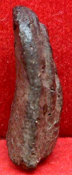 *พระคง เนื้อดำ กรุวัดโปรดเกษฯ นนทบุรี