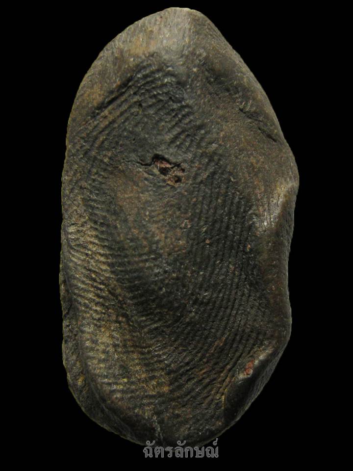 พระซุ้มยอ กรุสุโขทัย