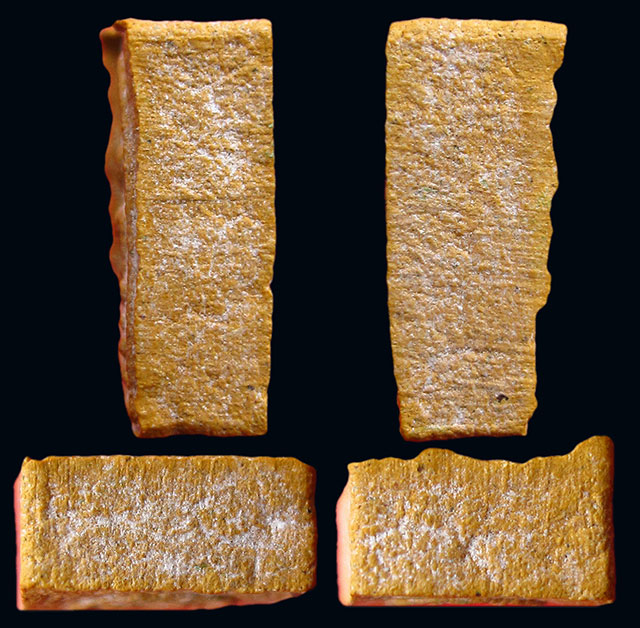 พระสมเด็จคะแนนจิ๋ว หลวงพ่อสาคร มนุญโญ วัดหนองกรับ จ.ระยอง เนื้อเหลืองว่านดอกทอง รุ่นแรก ปี ๒๕๓๐