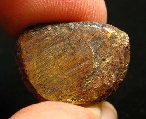 พระพิมพ์หลวงพ่อเงิน สวยไม่ทราบที่ครับ