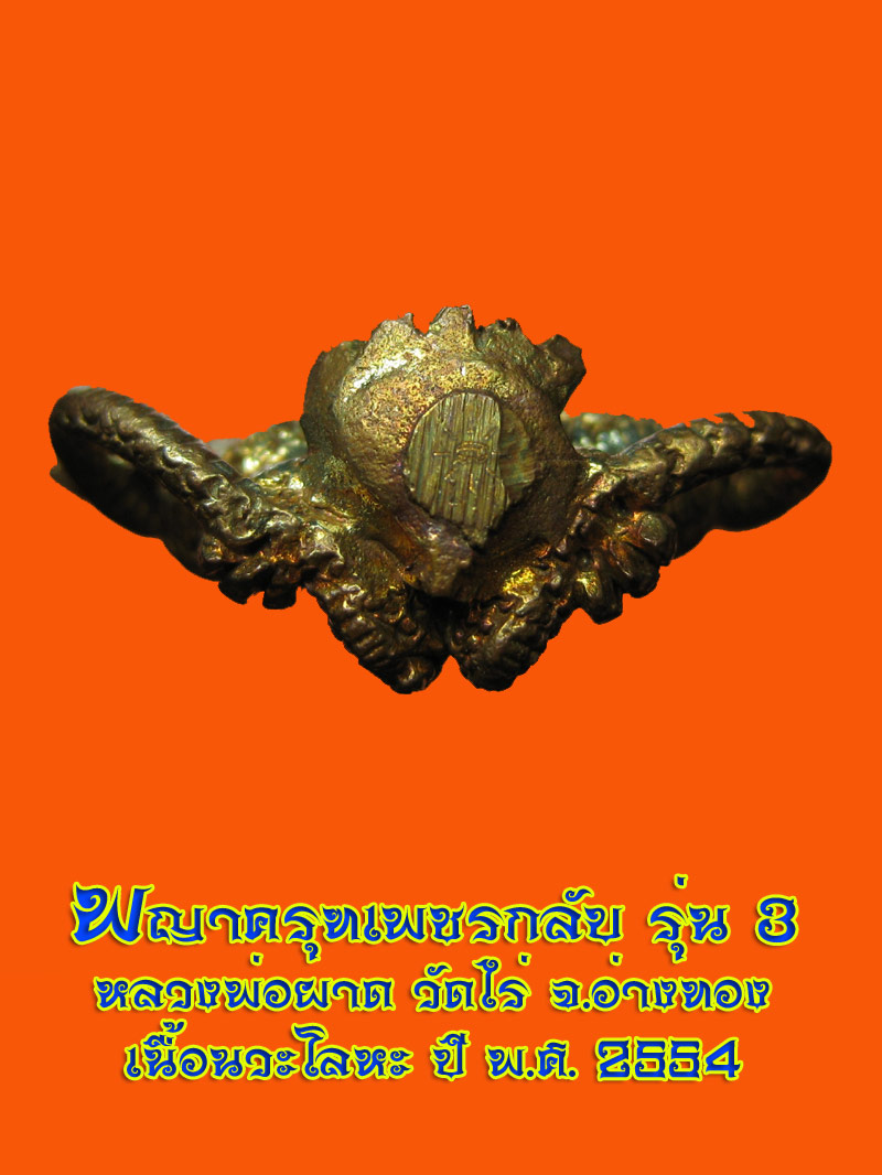 (31) พญาครุฑเพิ่มยศ รุ่น 3 (รุ่นสุดท้าย) หลวงปู่ผาด วัดไร่ อ่างทอง