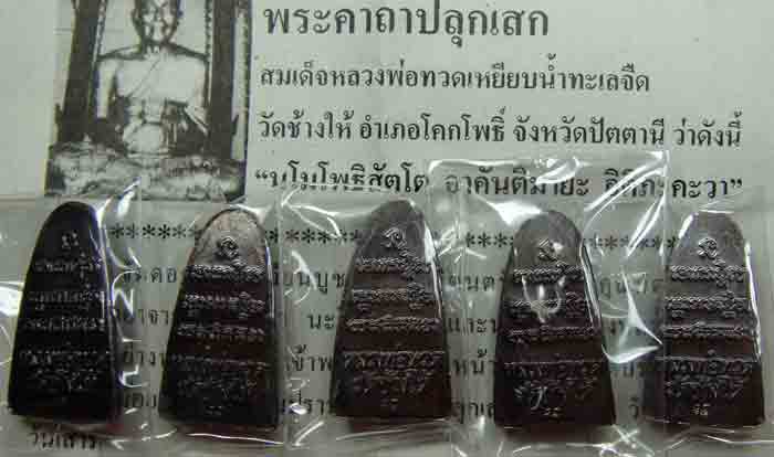 ยกชุด 5 เหรียญ เหรียญหลวงปู่ทวด วัดช้างให้ หลังหนังสือวาระ 3 ปี 2555 รับประกันตามกฎ พิจารณาดูก่อนนะค