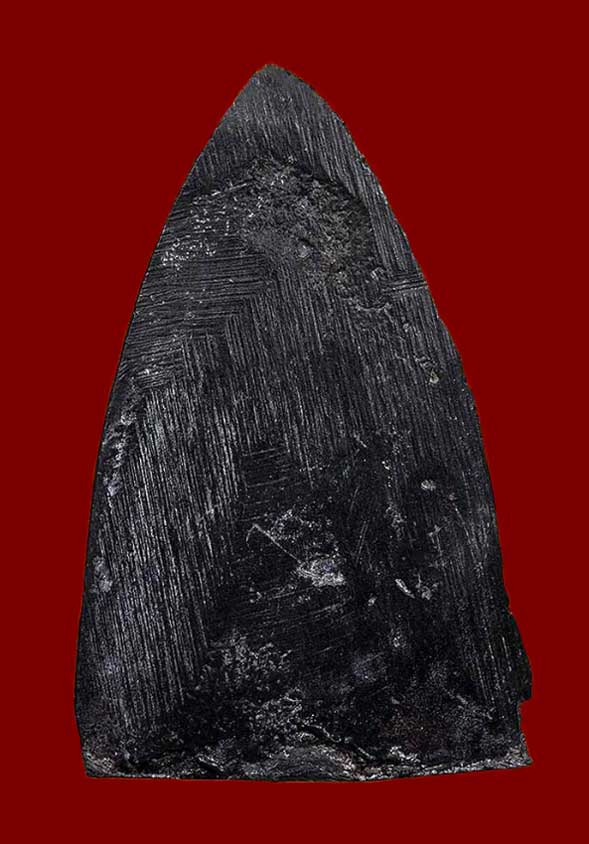 หลวงปู่ทวด วัดคอกหมู 2505