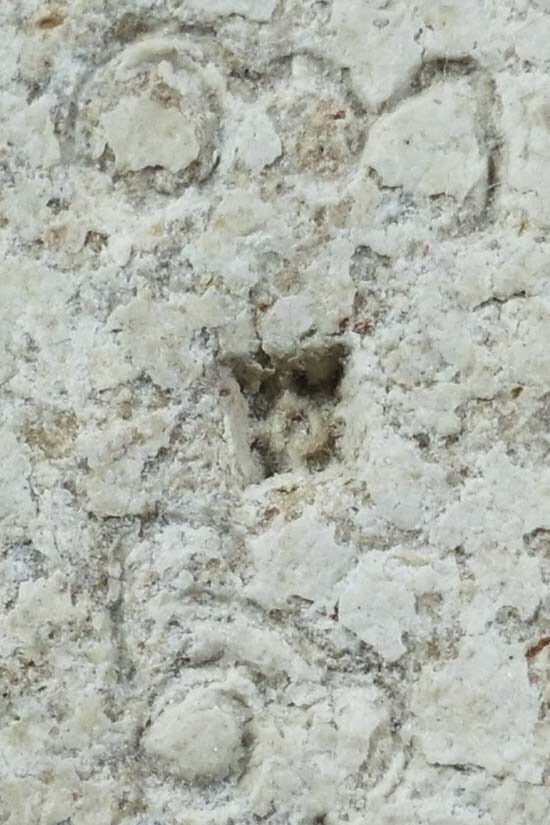 พระผงมงคลเกษม2 คม ชัด ลึก สวย