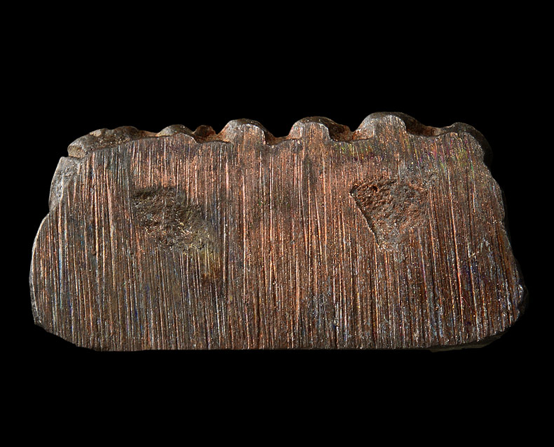 หลวงปู่ทวด หลังเตารีด พิมพ์กลาง เนื้อนวะโลหะ รุ่นสร้างโรงพยาบาลโคกโพธิ์ ปี 2539