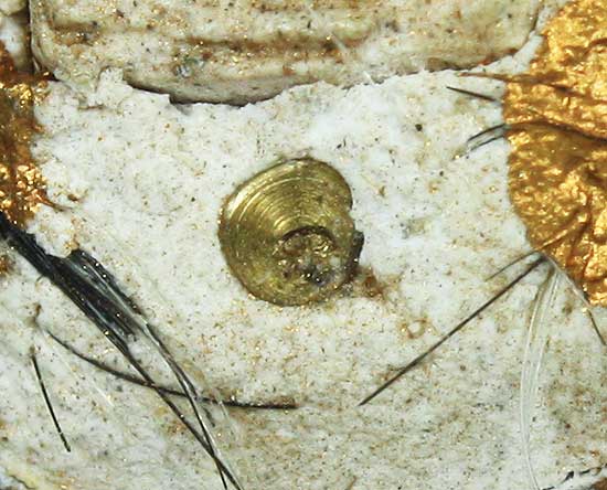 ล๊อคเก็ตฉากสีฟ้าปี2547  หลังอุดผงพรายกุมารฝังขุนแผนจิ๋วปี30 ปิดตาสาริกาปี46 หลวงพ่อสาคร วัดหนองกรับ