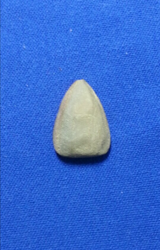 พระยอดขุนพล กรุวัดห้วยเสือ หลวงปู่ศุขปลุกเสก เคาะเดียวว