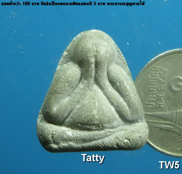 ปิดตาเนื้อสีเทา ไม่ทราบที่