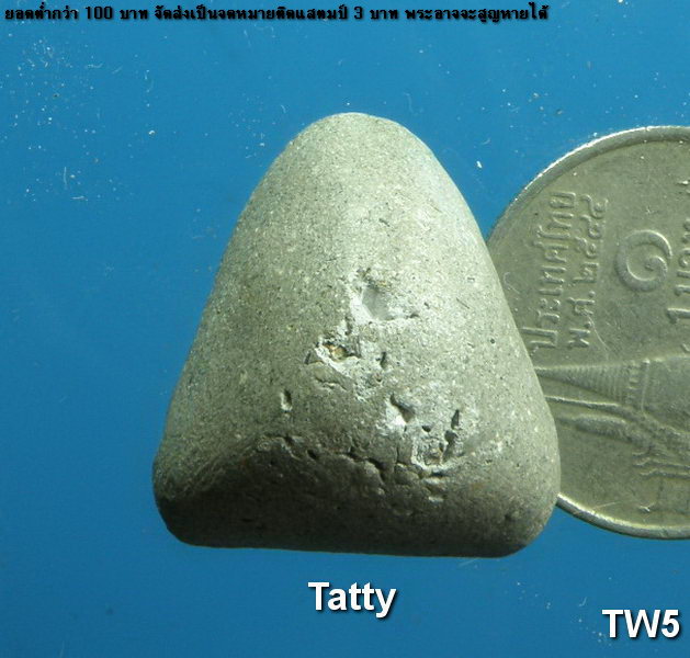 ปิดตาเนื้อสีเทา ไม่ทราบที่