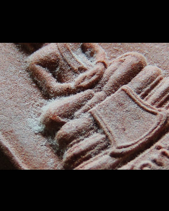 พระหางหมาก หลวงพ่อฤาษีลิงดำ วัดท่าซุง (ลักษณะพิเศษ)