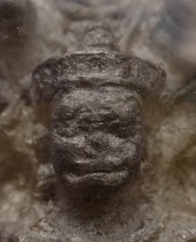 นาคปรกหล่อย้อนยุค หลวงปู่เรือง ออกวัดหัวช้าง เคาะเดียว