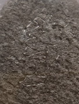 นาคปรกหล่อย้อนยุค หลวงปู่เรือง ออกวัดหัวช้าง เคาะเดียว