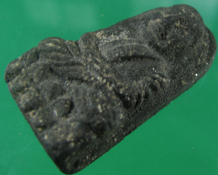 เคาะเดียวหลวงปู่ทวดวัดช้างให้ ปี 2524 เนื้อว่าน พิมพ์พระรอด